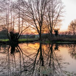 3 PDI The Retting Pond