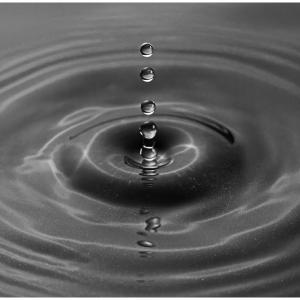 3rd Important Rapid Stability by Brian Vernon