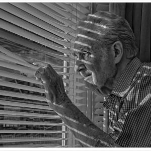 A very nosey neighbour by Roy Fidler
