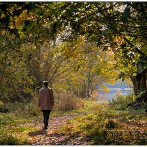 Autumn stroll