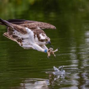 Brace for impact by Perry Andrews