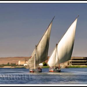Egypt boats