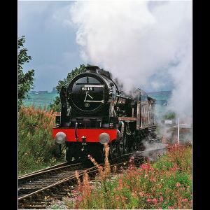 Highly Commended - Steaming by Lyn Yates