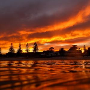 Seacliff Swimming 1