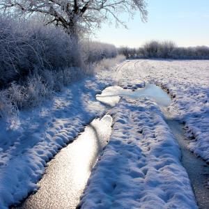 Snow scene near to Coddenham Wood