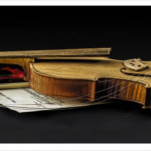 The lost chord by Roy Fidler
